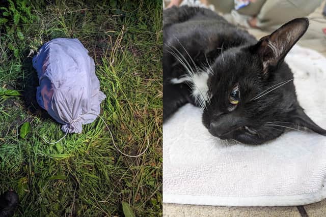 The cat was found tied up in a churchyard