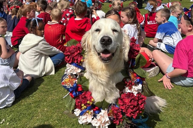 A friendly mascot at RL Hughes Primary, Ashton