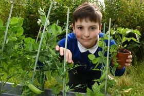 Generous Wigan school boy Nathan Davies, nine, has been growing pea and tomato plants and selling them to raise funds for local food banks.
