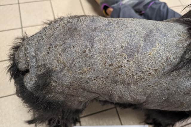 The RSPCA prosecuted Emma Conway, believing she had caused her pet unnecessary suffering