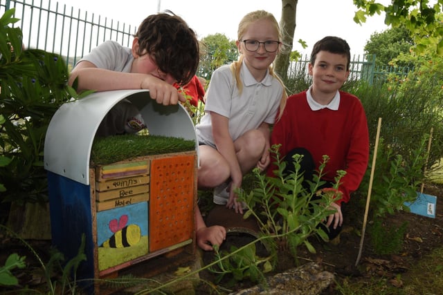 Pupils welcome bees and bugs into their school garden.