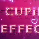 The Cupid Effect by Dorothy Koomson