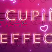 The Cupid Effect by Dorothy Koomson