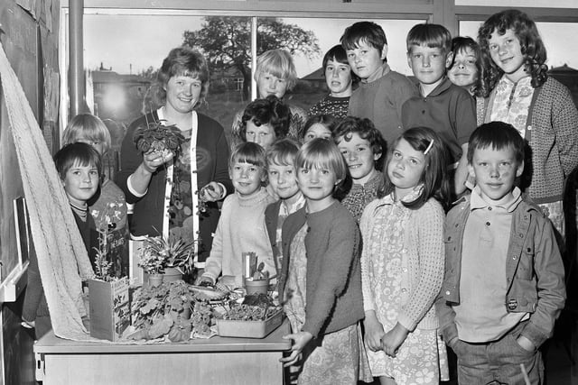 Teacher Mrs. Kath Lythgoe and Juniors round a nature table with plants they had collected at St. Bernadettes RC Primary School, Shevington, in July 1972.