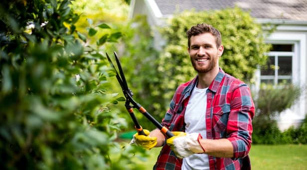 Sixty-three per cent of UK gardeners play music to their plants, research found (photo: Adobe)