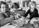 Britannia Bridge school