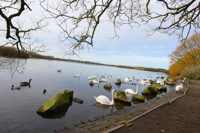 The Pennington Flash trail race starts at Leigh Sports Village and heads into the country park, covering five miles. It is usually held in late August and attracts scores of runners.