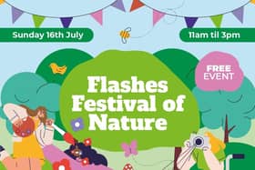 Flashes Festival of Nature promotional graphic