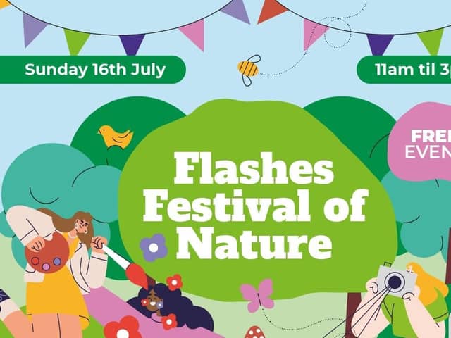 Flashes Festival of Nature promotional graphic
