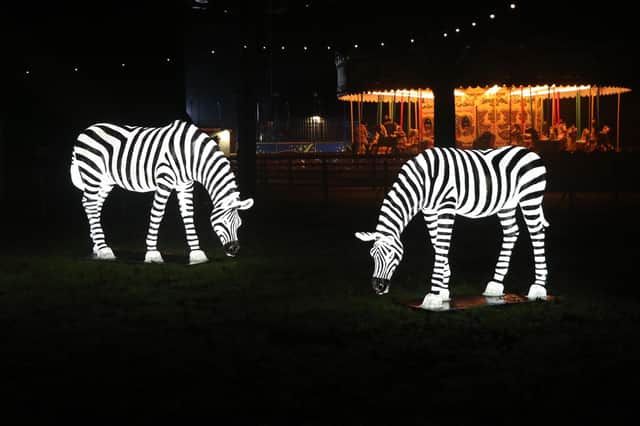 Trip the light fantastic at Knowsley Safari this Christmas