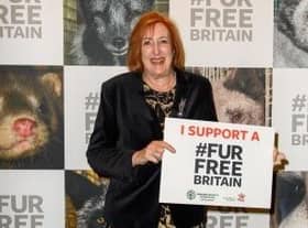 Makerfield MP Yvonne Fovargue wants a ban on fur imports