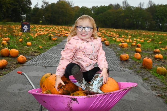 Families get into the spirit of Halloween as they visit the Pumpkin Patch at Winstanley Park, Wigan.