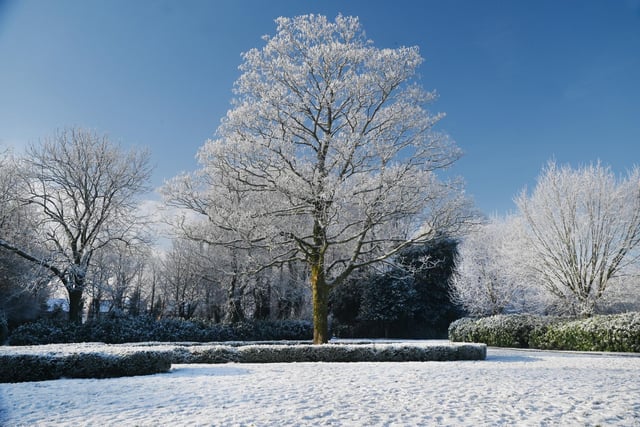 Wigan snow scenes - Snow falls on Mesnes Park, Wigan.
