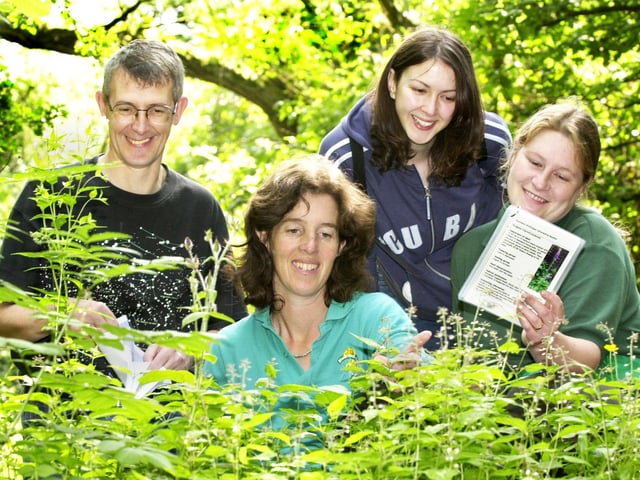 Collecting seeds in Borsdane Wood, Hindley, on Saturday 13th of July 2002 are John Loder, Bolton Conservation Volunteers, Annie Surtees, warden at Blackleach Country Park, Felicity Paris, Community Support Officer for Red Rose Forest and Sarah Sadler, Wigan Council countryside ranger. Some of the seeds found were bluebell, wild garlic and red campion and were to be scattered around Wigan borough in areas lacking colour.