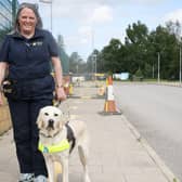 Guide dog trainer Vicki White with trainee Hilda