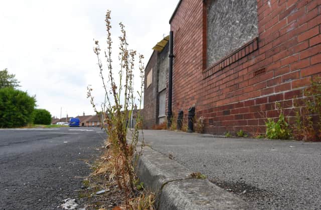 Weeds growing on Grange Road, Bryn