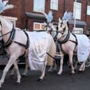 White horses pulled the carriage carrying Theo's coffin