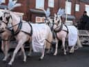 White horses pulled the carriage carrying Theo's coffin