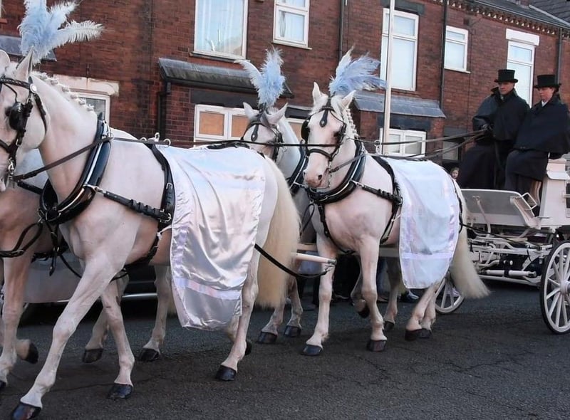 White horses pulled the carriage carrying Theo's coffin