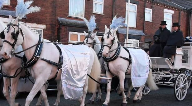 White horses pulled the carriage carrying Theo's coffin