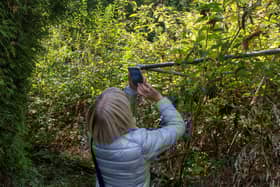 Woman photographs a tree