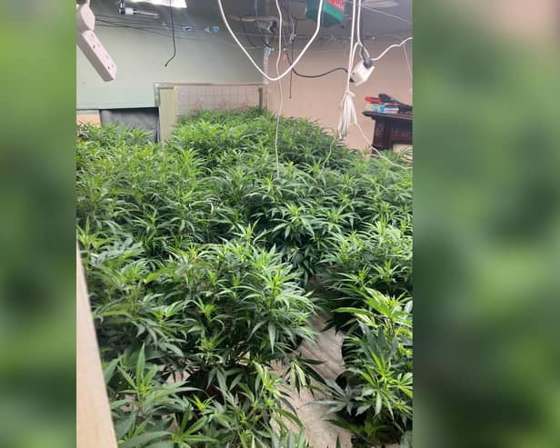 Officers discovered the cannabis farm in Platt Bridge, Wigan