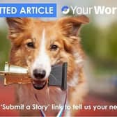 Use the Submit Your Story link to tell us your news