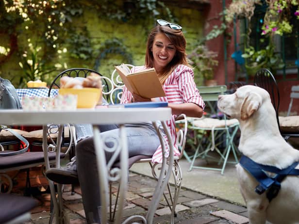 More than a third of surveyed Brits refuse to dine at a restaurant that doesn’t accept pets (photo: Adobe)