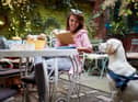 More than a third of surveyed Brits refuse to dine at a restaurant that doesn’t accept pets (photo: Adobe)