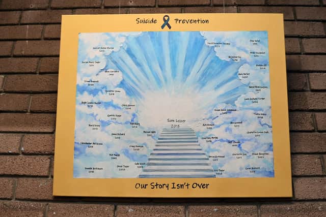 A painting in memory of Sam Leiper and other people who have died by suicide has been unveiled at Shevington Library