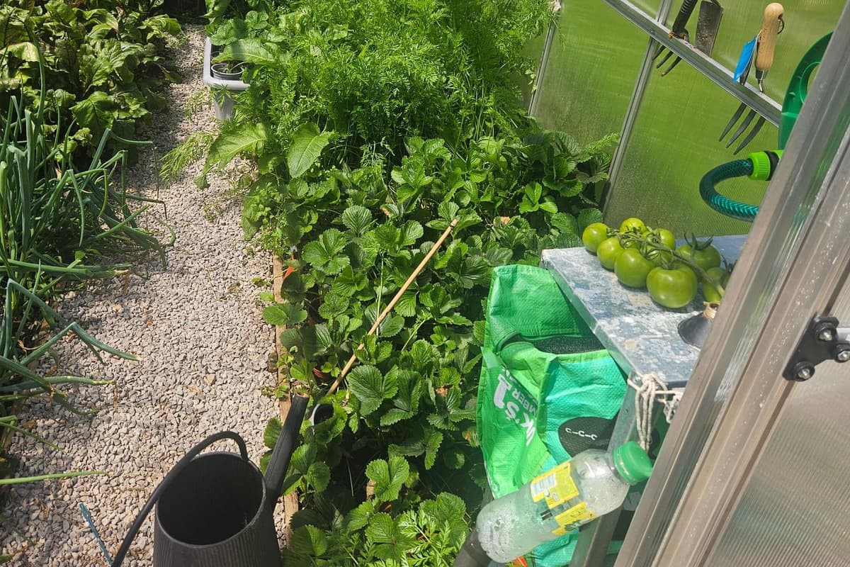 Wigan Care Home Celebrates Gardening Success in HC-One’s National ‘Gardens in Bl...