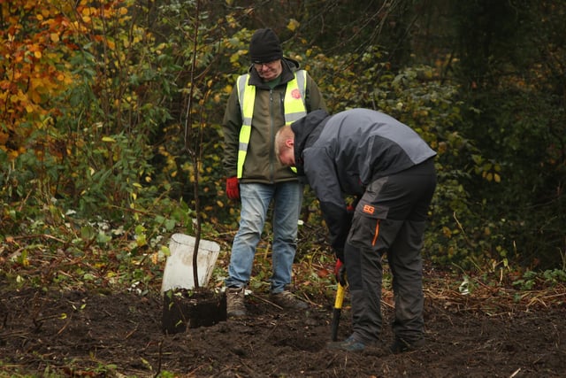 Borsdane Wood and Rayner Park Friends Group were joined by pupils from Castle Hill St Philip's CE Primary School and members of the the community at a celebration tree planting event at Rayner Park, Hindley. The 100th anniversary since the council first planted 900 trees in Rayner Park in 1924.
