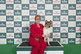 Tracey Holmes, with Maggot, a Collie (Smooth), which was the Best of Breed winner on the fourth and final day of Crufts 2025.