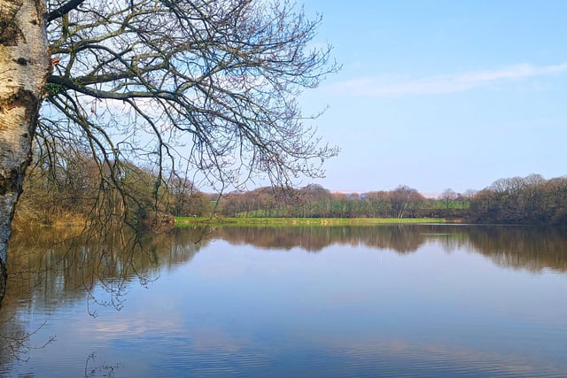 Worthington Lakes - made up of Adlington Lake, Arley Lake and Worthington Reservoir - is a great place to walk, look out for wildlife, catch fish or enjoy a picnic