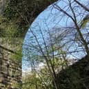 Pass under the massive Hoghton viaduct near to the start of your walk