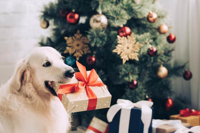 Sticky tape, bows, tinsel, ribbons or string can be a choking hazard (photo: Adobe)