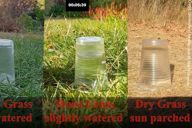 This experiment by a meteorologist shows the effects of droughts - and how they increase the risk of flash floods after rainfall.