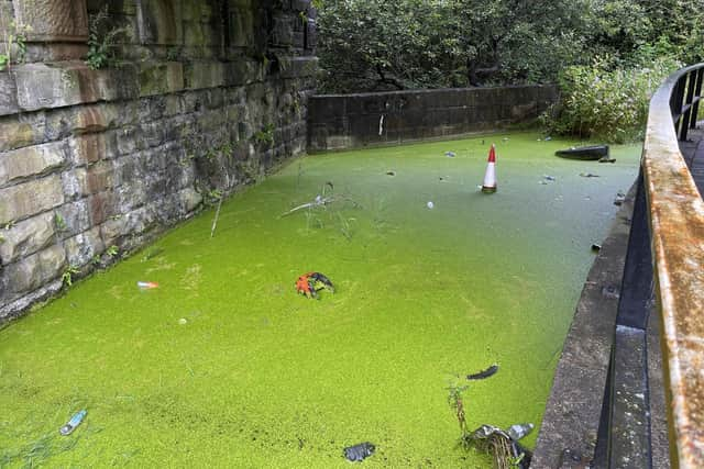 The footpath alongside the Leeds and Liverpool Canal near Wigan Pier which has been swamped with stagnant water for years