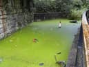 The footpath alongside the Leeds and Liverpool Canal near Wigan Pier which has been swamped with stagnant water for years