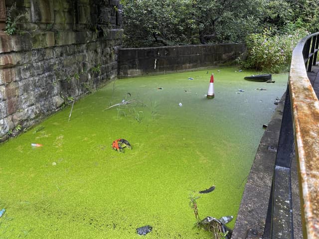 The footpath alongside the Leeds and Liverpool Canal near Wigan Pier which has been swamped with stagnant water for years