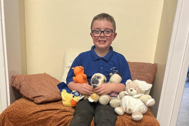 Harrison, a pupil at St John's CE Primary School in Abram, with teddies donated for children in The Gambia