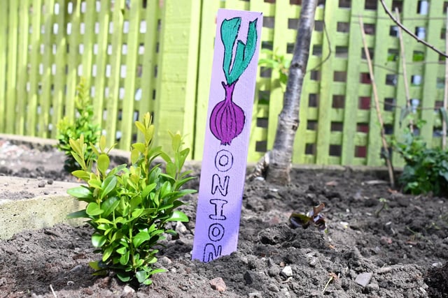 Pupils have been painting and planting for residents to enjoy the outdoor space for summer.