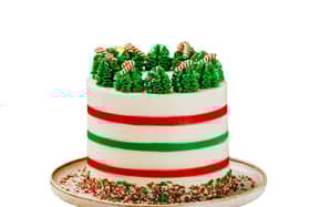 Candy Cane Hot Chocolate Cake.