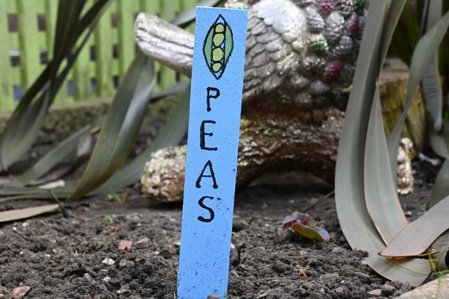 Pupils have been painting and planting for residents to enjoy the outdoor space for summer.