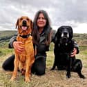 Rachel Bean is giving this advice to Wigan dog owners - Animal News Agency