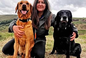 Rachel Bean is giving this advice to Wigan dog owners - Animal News Agency