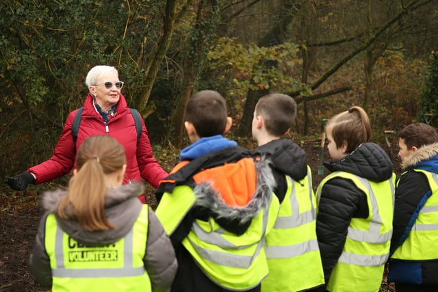 Borsdane Wood and Rayner Park Friends Group were joined by pupils from Castle Hill St Philip's CE Primary School and members of  the community at a celebration tree planting event at Rayner Park, Hindley. The 100th anniversary since the council first planted 900 trees in Rayner Park in 1924.