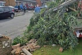 Damage caused by the driver of the vehicle