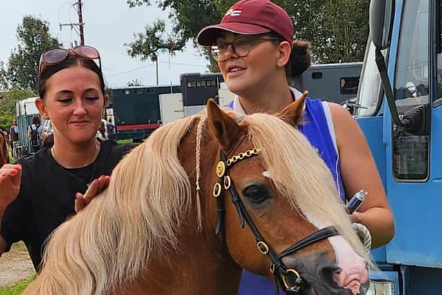 Bryn is the perfect show horse - when he wants to be…