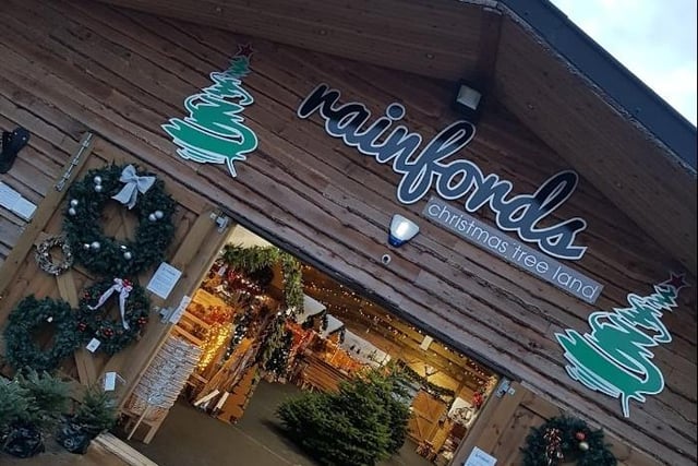 Based in Rainford, there is lots of choice at Christmas Tree Land